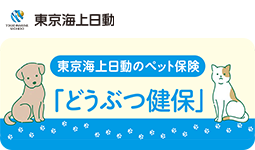 東京海上日動のペット保険「どうぶつ健保」